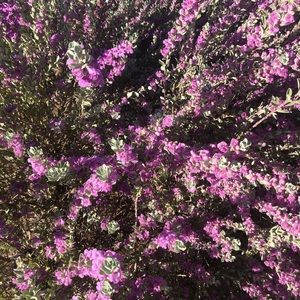 Meet your Posher, Gabriela